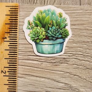 10/$10 Succulent Plant Sticker Gardening Cacti Grow